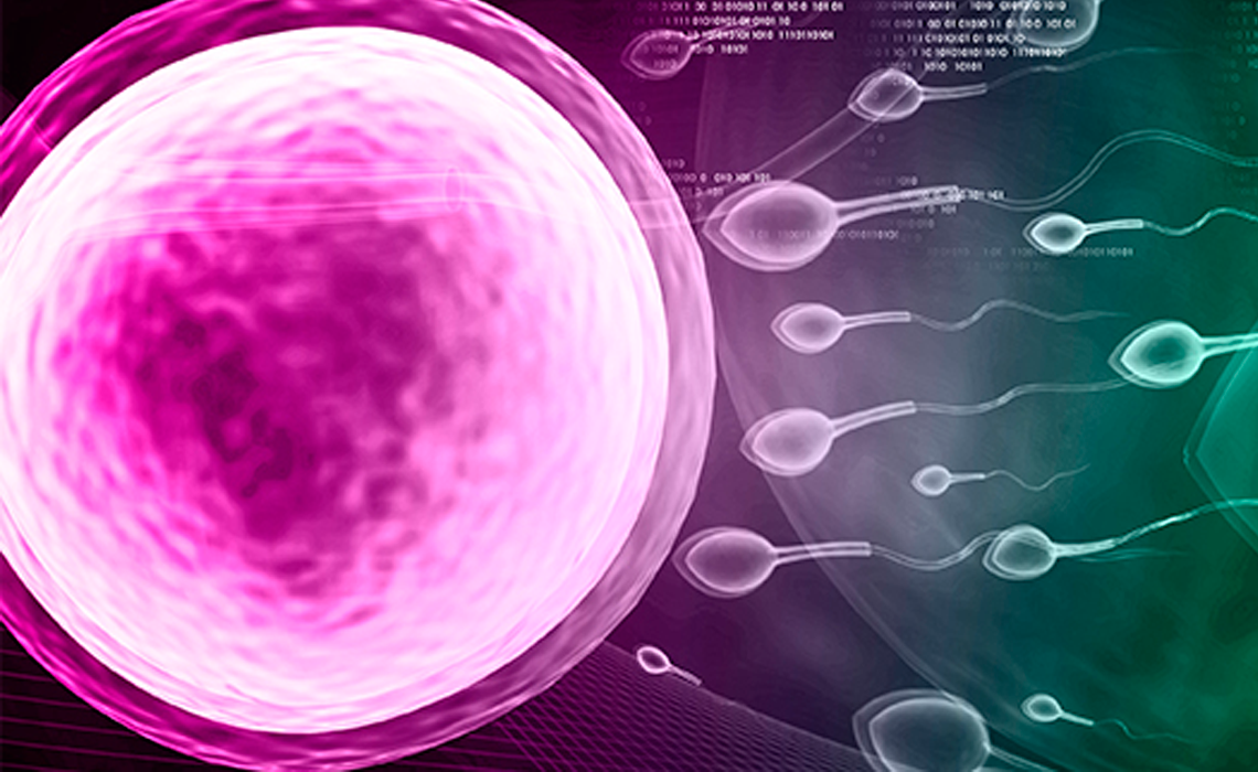 El Omega 3 (DHA) favorece la fertilidad masculina 