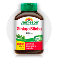 Ginkgo Biloba 4.000 mg